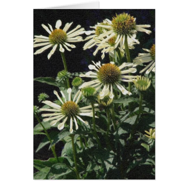 Hübsche Blume (Vorne)