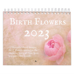 Hübsche Blume 12 Monate Kalender