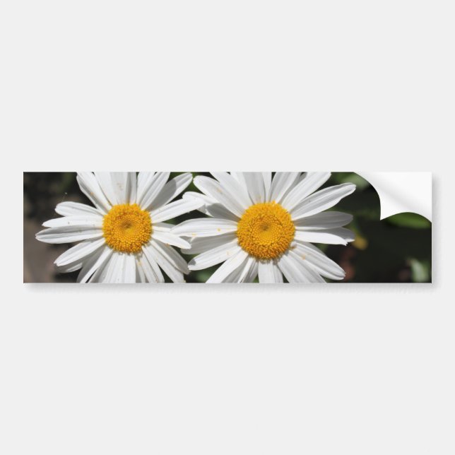 Hübsche Blume Autoaufkleber (Vorne)