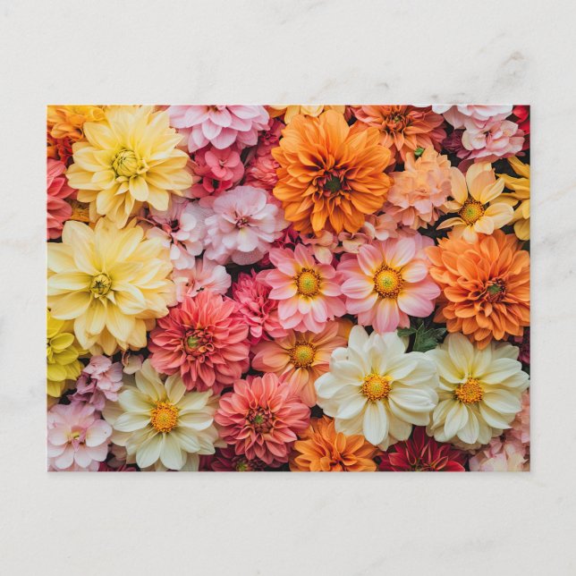 Hübsche Blume farbenfrohe Blumenmuster Schöne Auss Postkarte (Vorderseite)