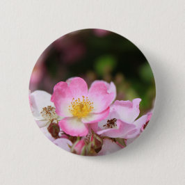 hübsche Blume für die wilde Rose Button