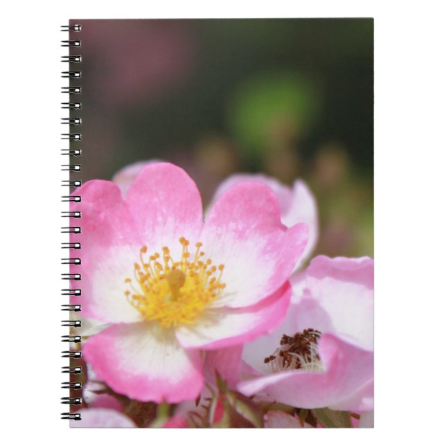 hübsche Blume für die wilde Rose Notizblock (Vorderseite)