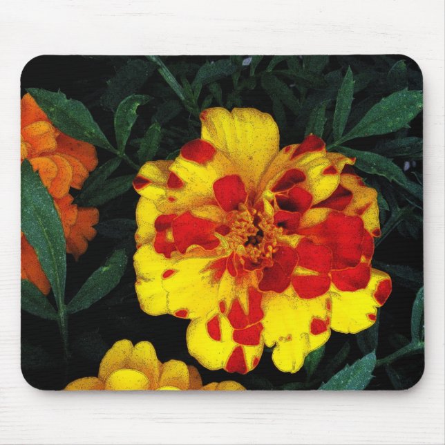 Hübsche Blume in Rot und Gelb Mousepad (Vorne)
