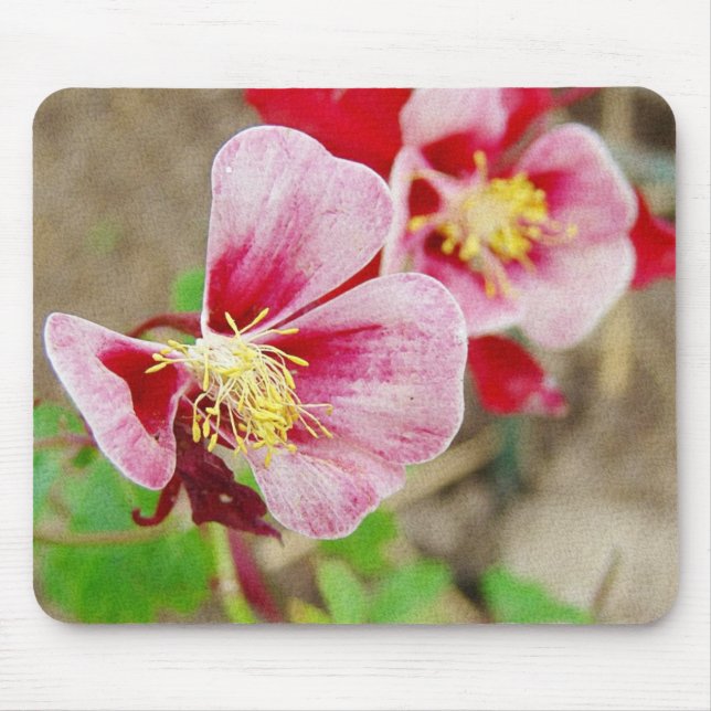 Hübsche Blume Kolumbin Mousepad (Vorne)