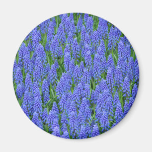 Hübsche Blume Magnet