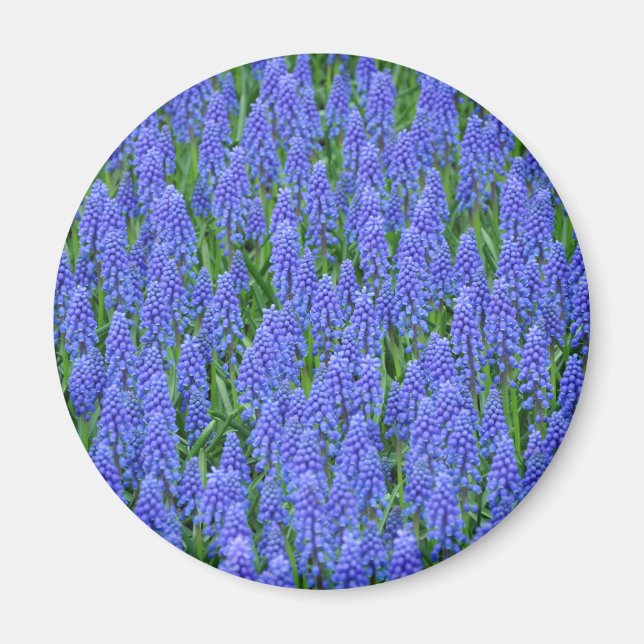 Hübsche Blume Magnet (Vorne)