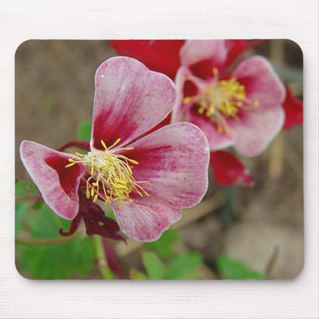 Hübsche Blume Mousepad (Vorne)