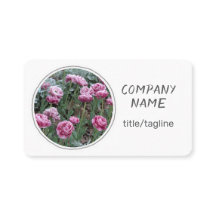 hübsche Blume rosa Tulpen auf weiß