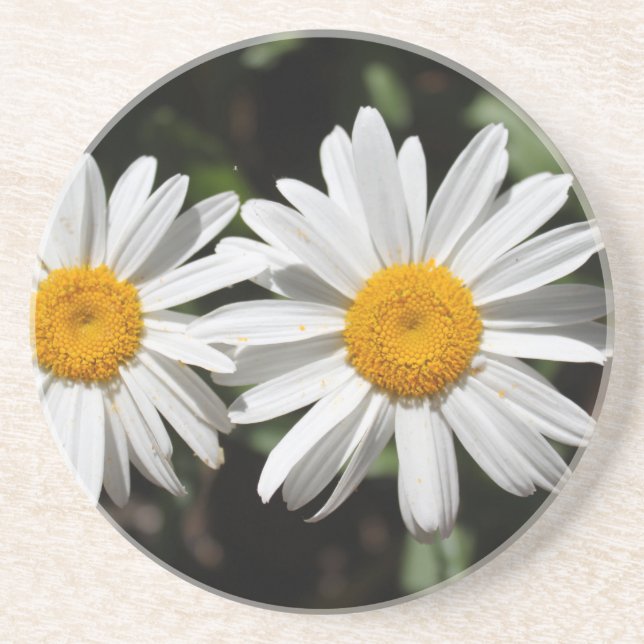 Hübsche Blume Sandstein Untersetzer (Vorne)