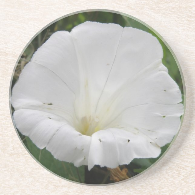 Hübsche Blume Untersetzer (Vorne)