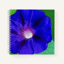 Hübsche Blumen