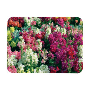 hübsche bunte Gartenblumen Magnet