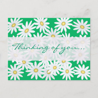 Hübsche Daisies Postkarte