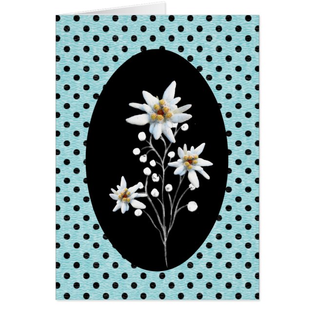 Hübsche Edelweiss-Blume auf Polka Dots (Vorne)