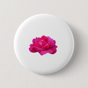 hübsche einzelne rosa Rosenblüte Button