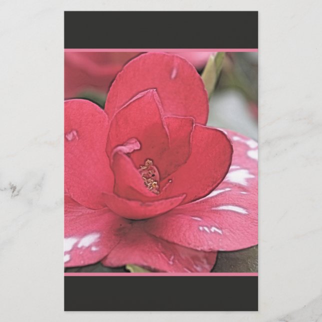Hübsche, elegante rosa Kamelie-Blume Briefpapier (Vorderseite)
