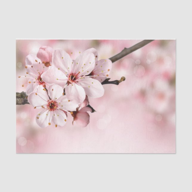 Hübsche Feminine Pink Cherry Floral Spring Sakura Seidenpapier (Vorderseite)