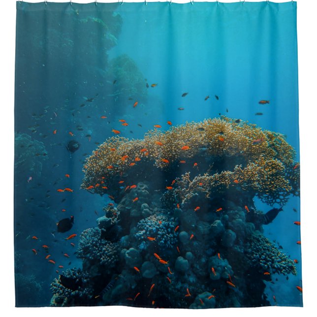 Hübsche Fische und Riffe Duschvorhang (Vorderseite)