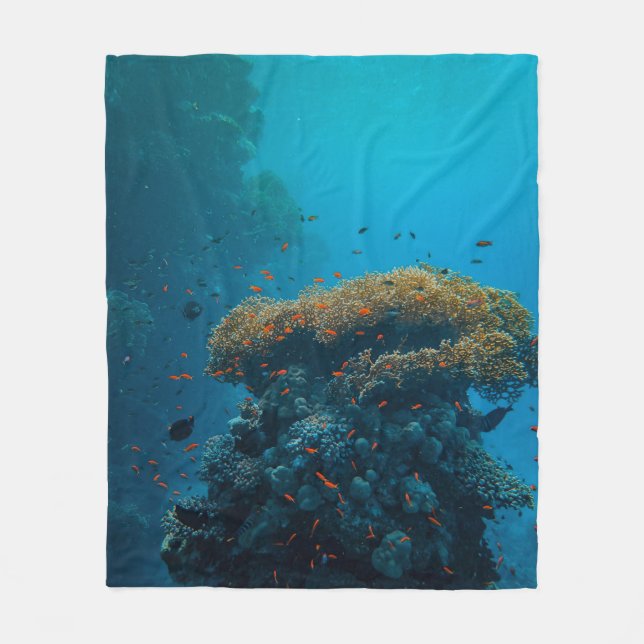 Hübsche Fische und Riffe Fleecedecke (Vorderseite)