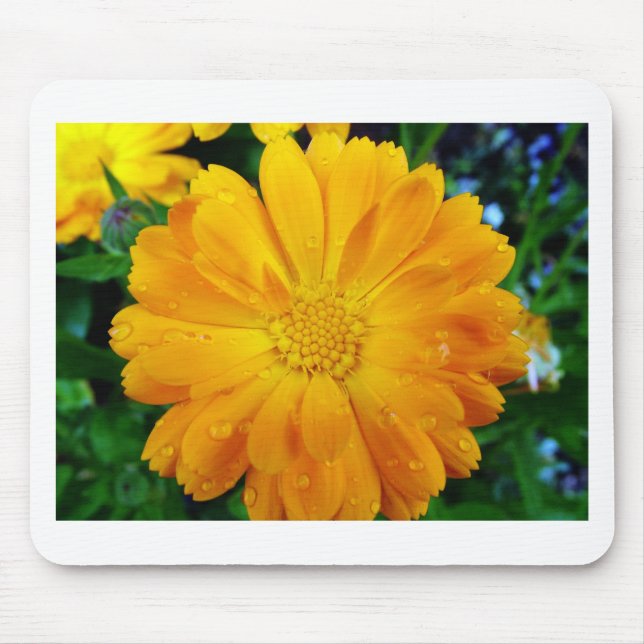 hübsche, frisch gelbe Blume Mousepad (Vorne)