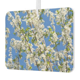 Hübsche Frühlingsblumen und blaues Himmel Thema Autolufterfrischer