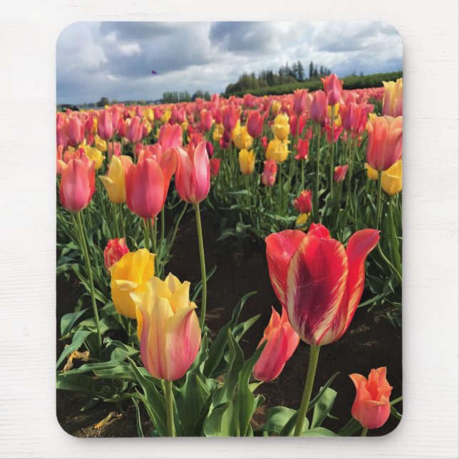 Hübsche Frühlingshuppen im Feld, Oregon Mousepad (Vorne)