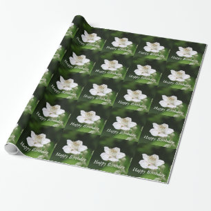 Hübsche Frühlingsweiße Himbeerblütenfotografie Geschenkpapier
