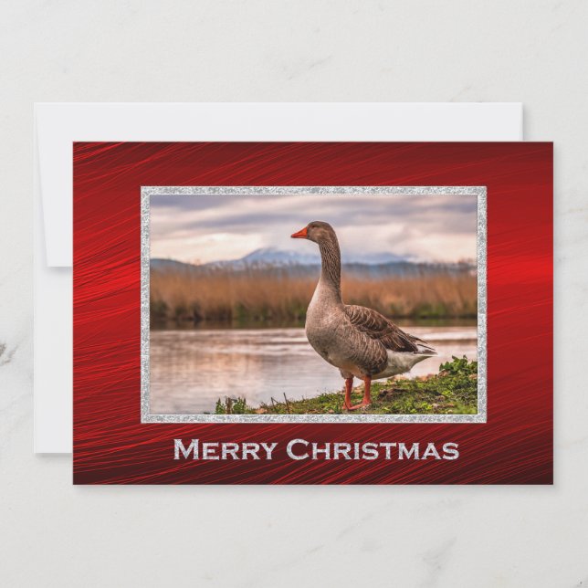 Hübsche Gänse Landschaft Foto Weihnachtswohnung Feiertagskarte (Vorderseite)