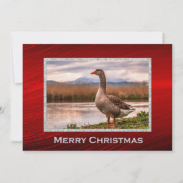 Hübsche Gänse Landschaft Foto Weihnachtswohnung Feiertagskarte