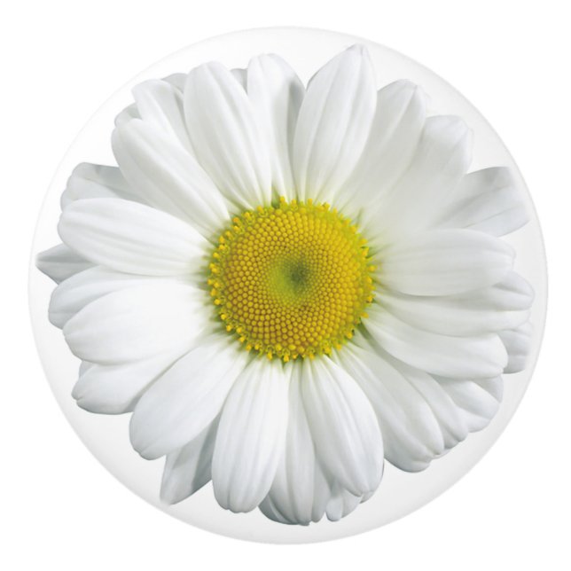 Hübsche Gelbe Daisy Keramikknauf (Vorderseite)