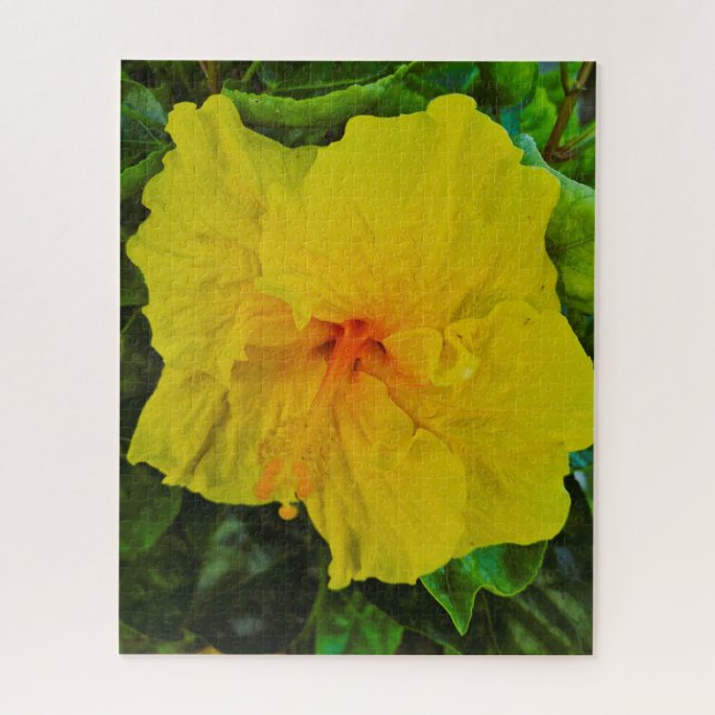 Hübsche gelbe Hibiskusblüte (Vertikal)