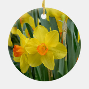Hübsche gelbe Narzissen-Frühlingsblumen Blumen Keramik Ornament