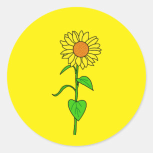 Hübsche gelbe Sonnenblume für die Verpackung klein Runder Aufkleber