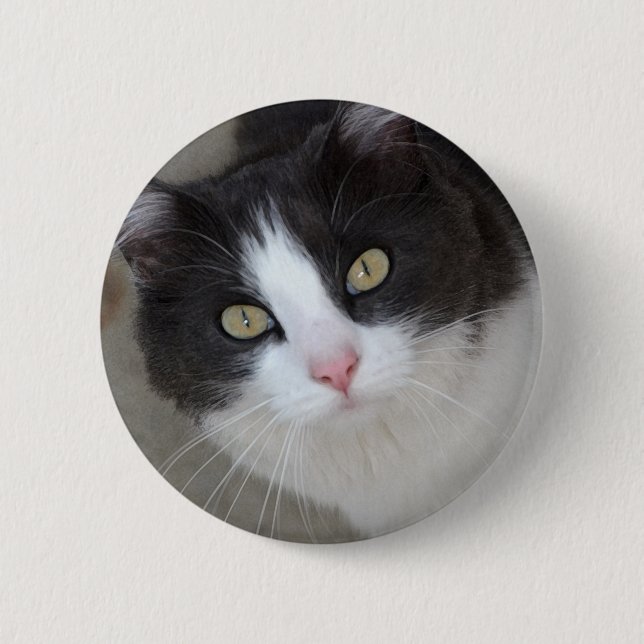 Hübsche graue und weiße Katze Button (Vorderseite)