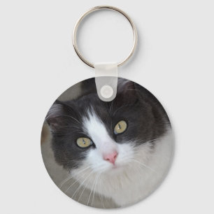 Hübsche graue und weiße Katze Schlüsselanhänger