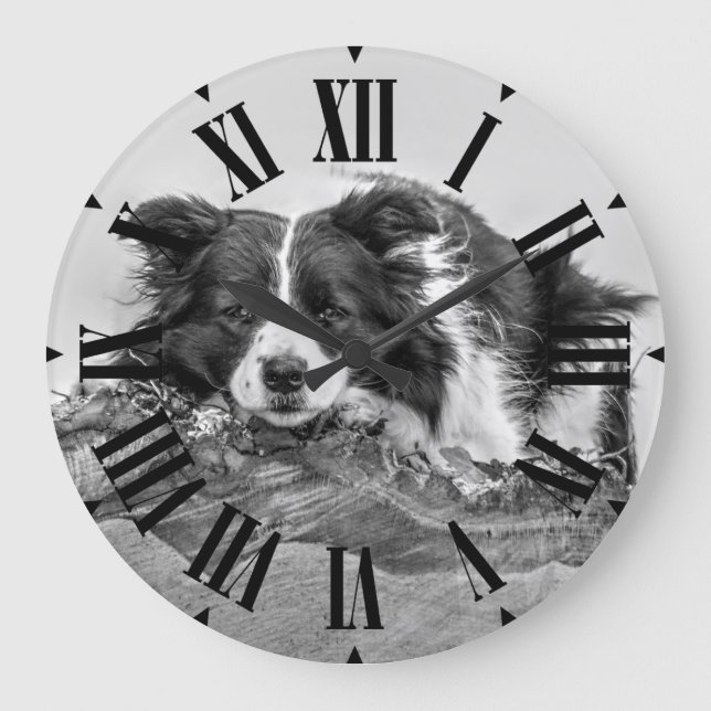 Hübsche Grenz Collie Dog Große Wanduhr (Vorderseite)