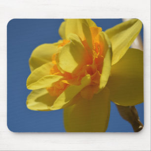Hübsche, helle, gelbe Blumenmauspad. Mousepad