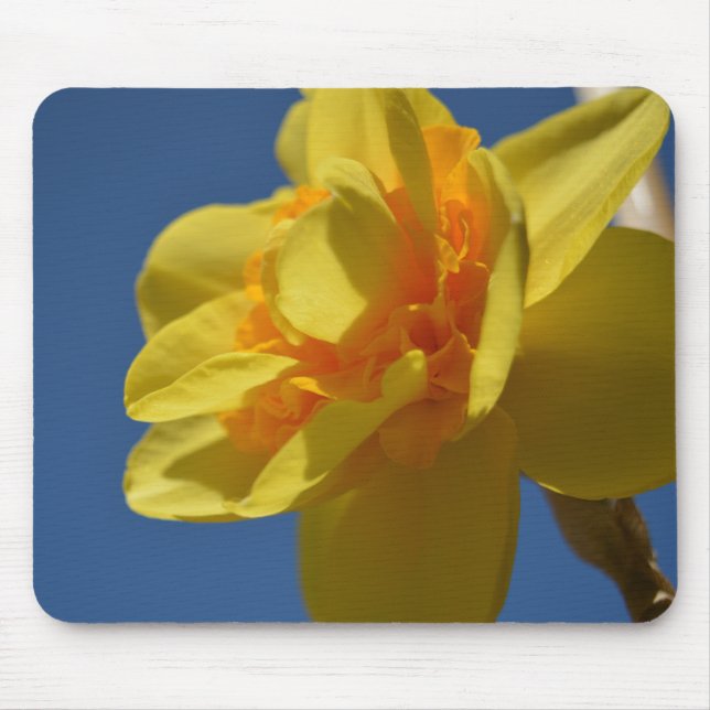 Hübsche hellgelbe Blume Mousepad. Mousepad (Vorne)
