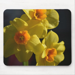 Hübsche, hellgelbe Daffodialfarben-Blume Mousepad