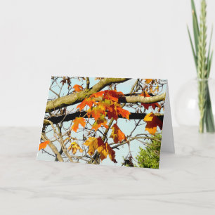 Hübsche Herbstlaub Herbstsegnung Karte