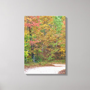 Hübsche Herbstleaves Bergstrasse Canvas drucken Leinwanddruck