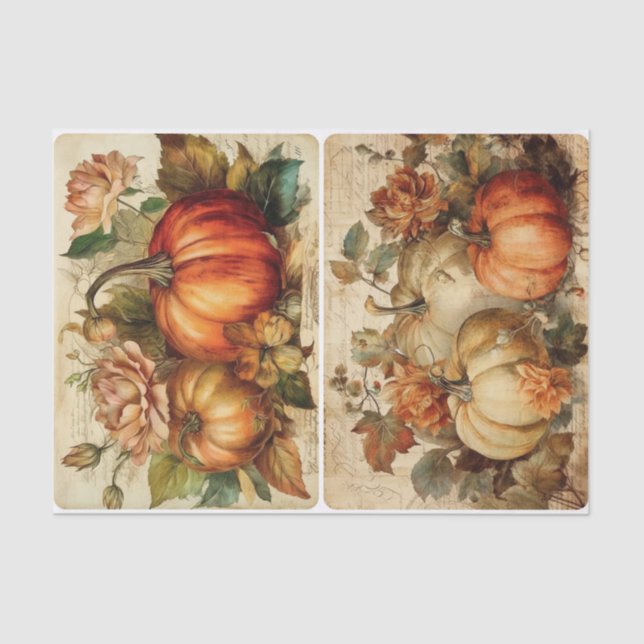 Hübsche Hübsche Pumpkins Seidenpapier (Vorderseite)