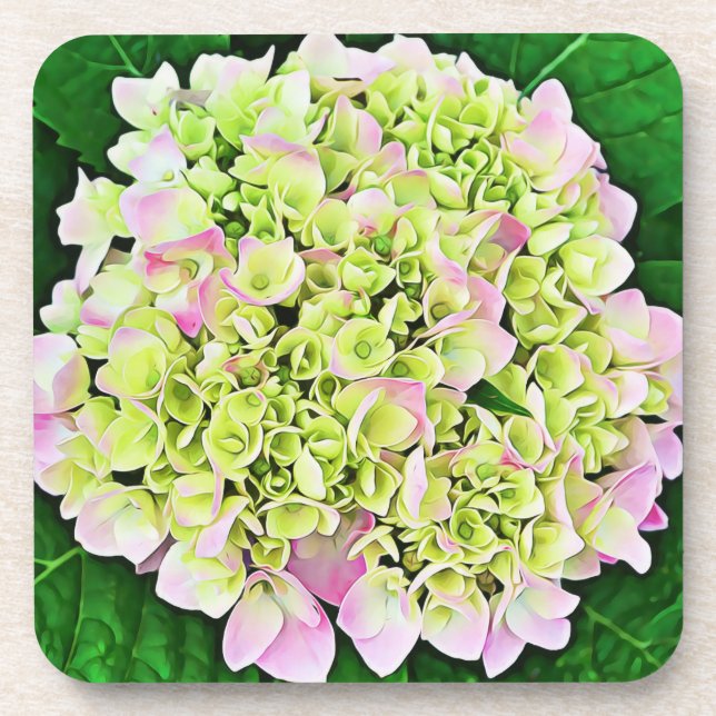 Hübsche Hydrangea Blume Art Untersetzer Set (Vorderseite)