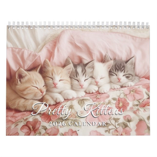 Hübsche Kätzchen Pastel Pink 2026 Mauerkalender Kalender (Titelbild)
