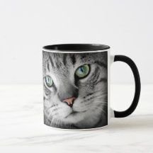 Hübsche Katze mit grünen Augen & Zitat Kaffeekoche