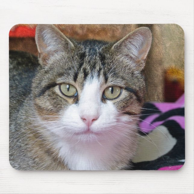 Hübsche Katze Mousepad (Vorne)