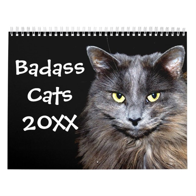 Hübsche Katzen mit Katitude Kalender (Titelbild)
