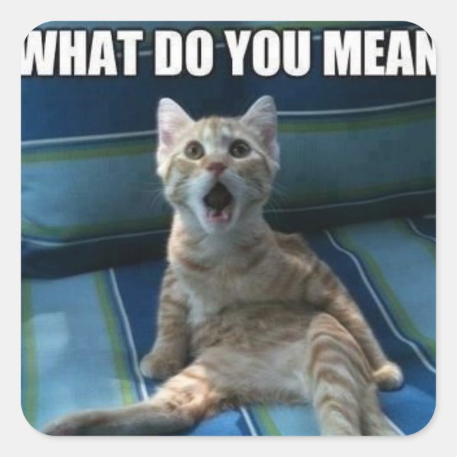 Hübsche Katzenkleber Quadratischer Aufkleber (Vorderseite)