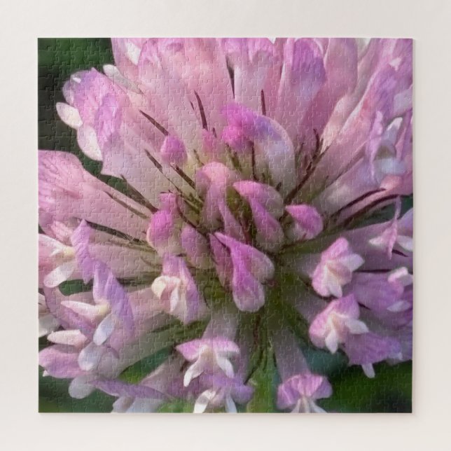 Hübsche Kleeblüte (Vertikal)