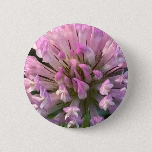 Hübsche Kleeblüte  Button (Vorderseite)